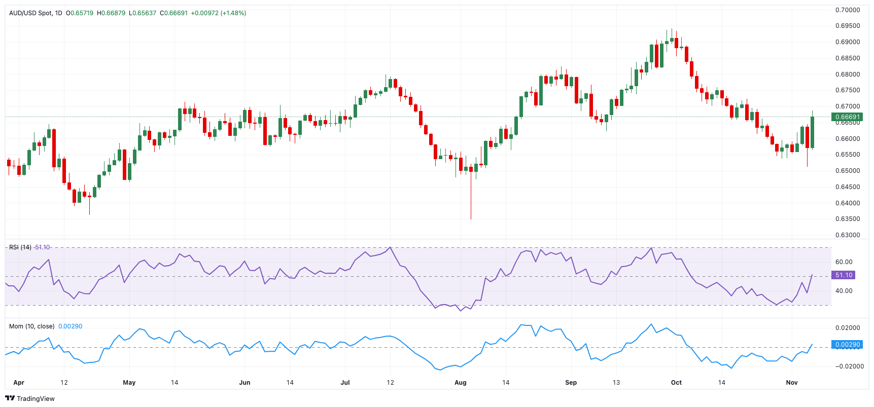 听!冷链园区里的“虾跃”交响,肇庆十万斤罗氏虾“跳”出产业新路子