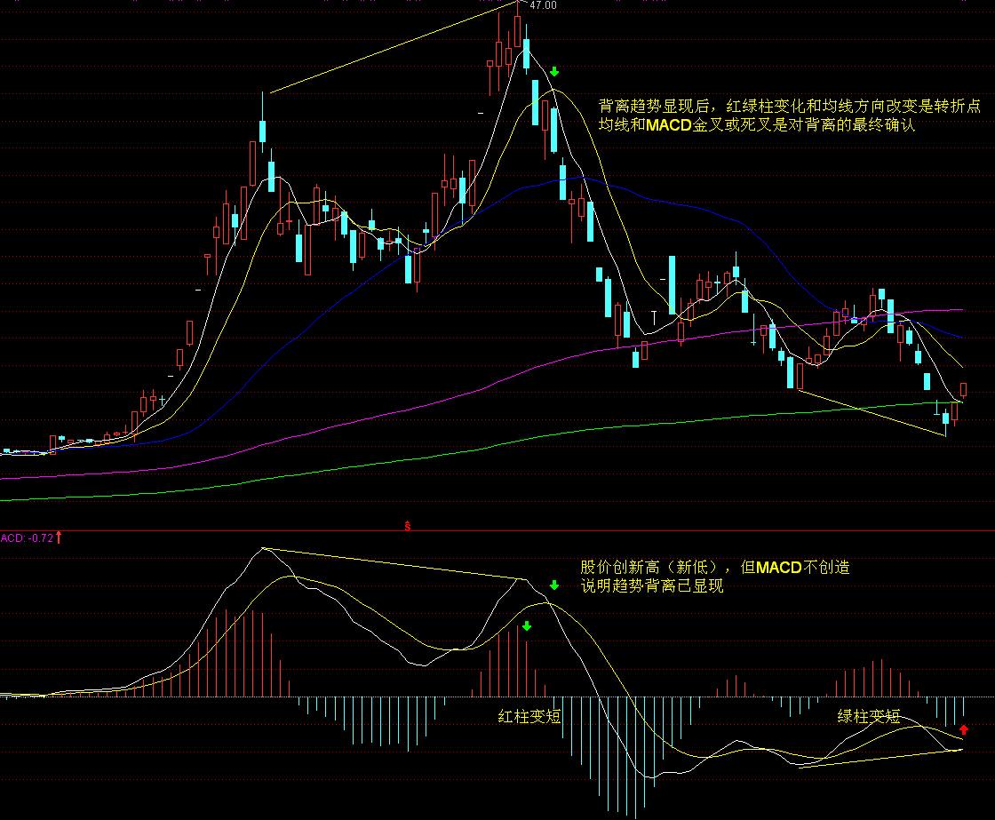 让患者看得见、听得清、行得稳!梅州积极组织药品耗材集采落地
