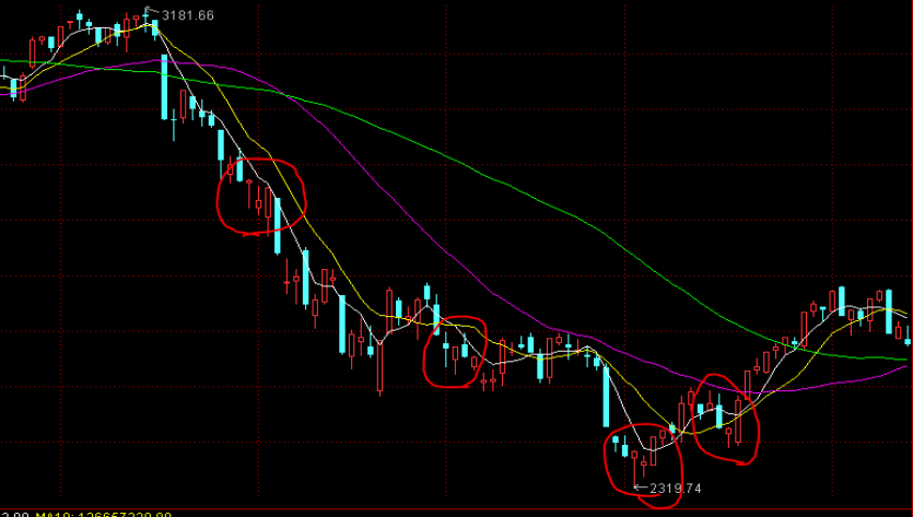 梅州防风应急响应等级提升至Ⅲ级