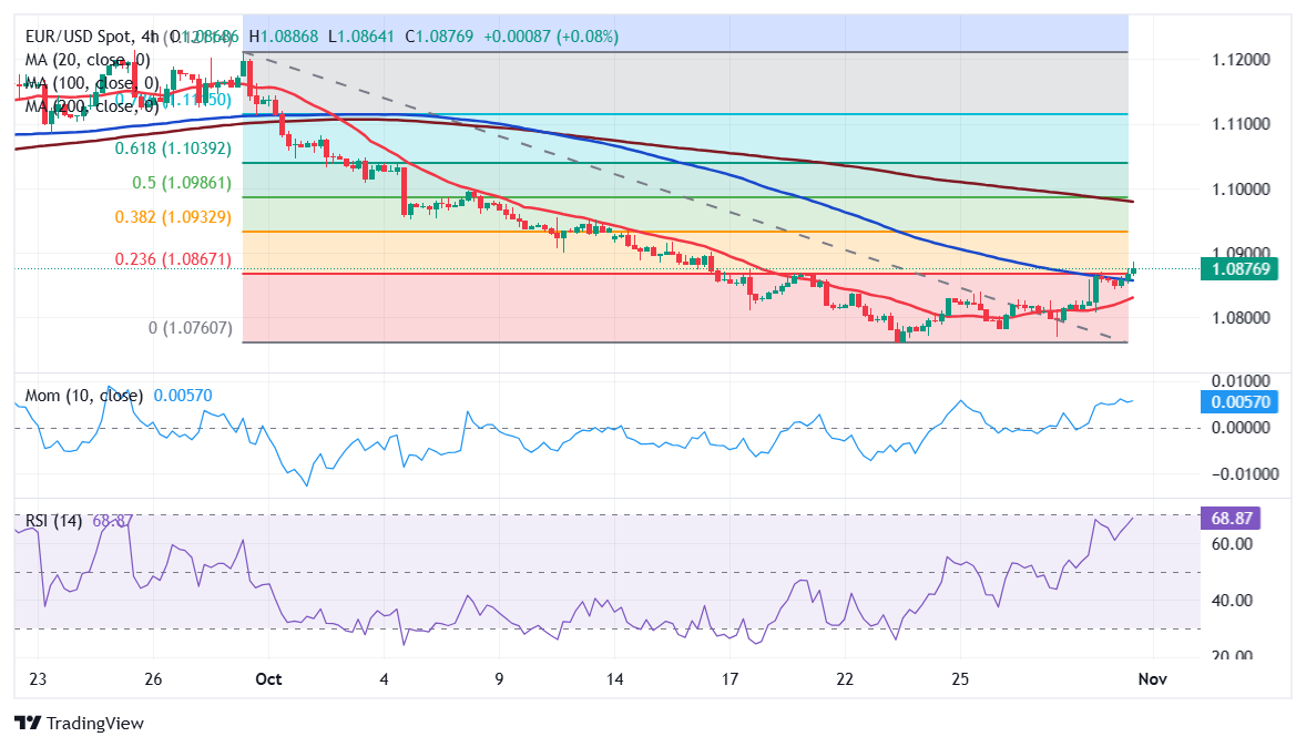 160万亩林地释放“绿色生产力” 张家口市林下经济年产值突破3.15亿元