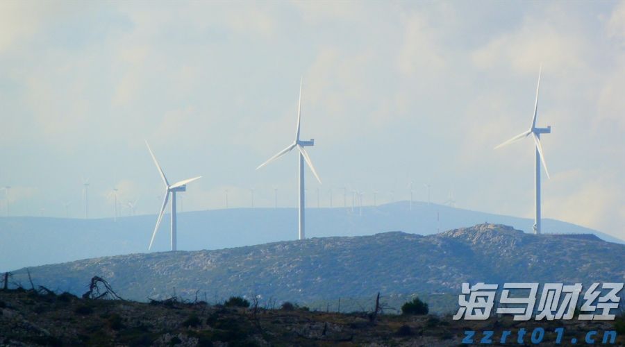 大桥海关查获一起走私濒危鱼翅出境案